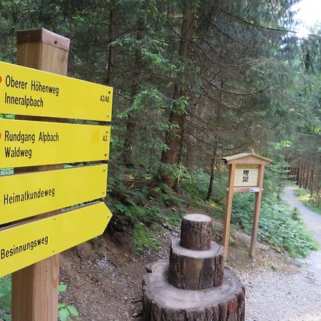 Pension Muehlbachhof Alpbach Buitenkant foto