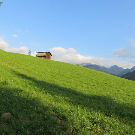 Pension Muehlbachhof Alpbach Buitenkant foto