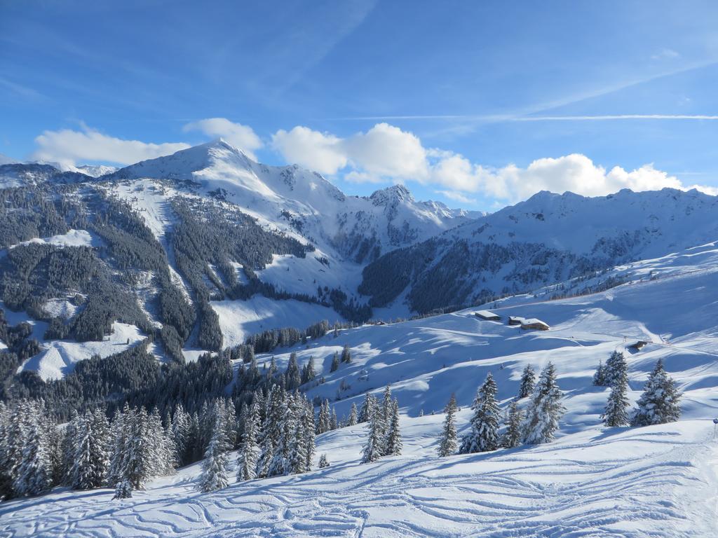 Pension Muehlbachhof Alpbach Buitenkant foto