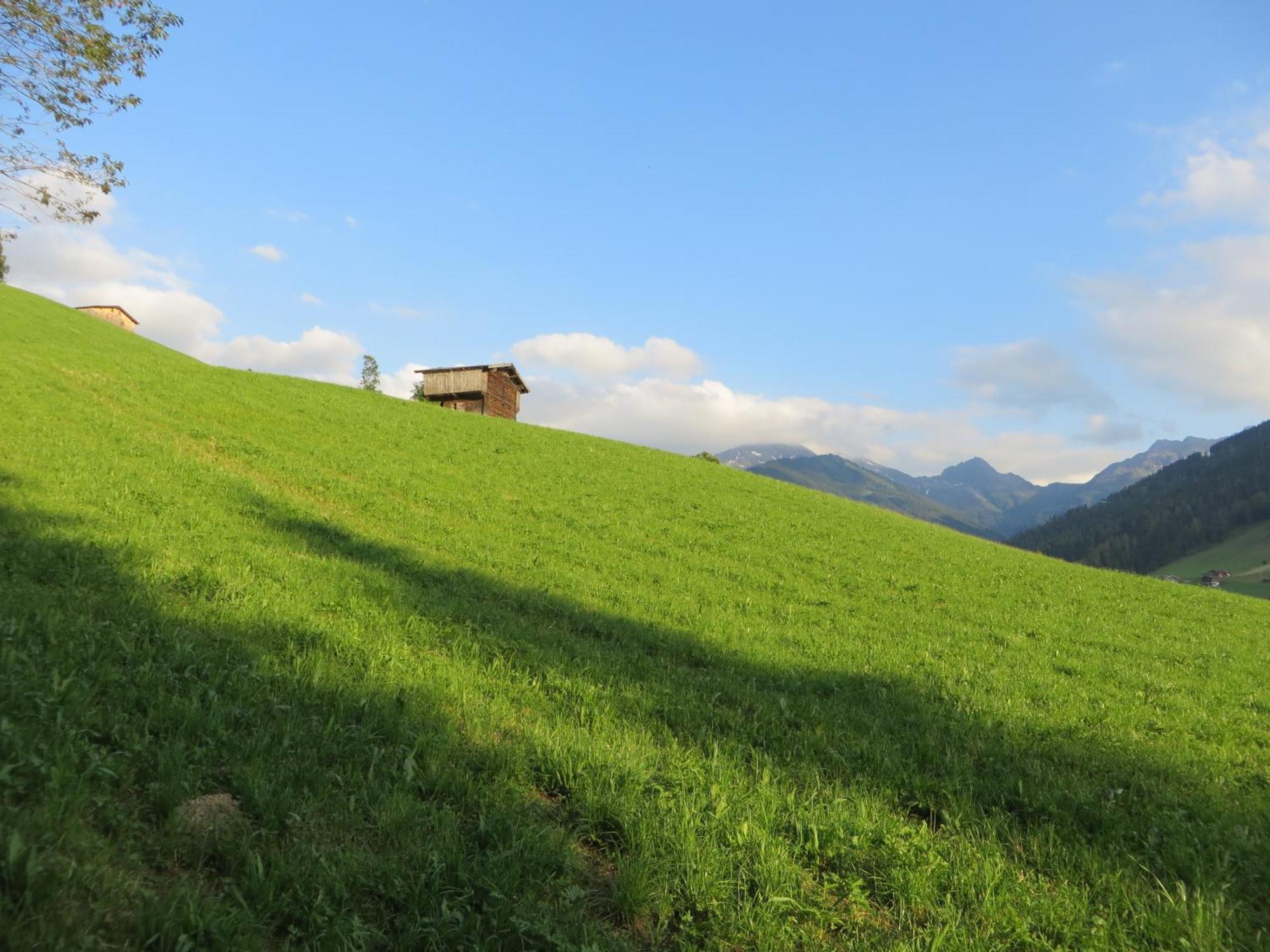 Pension Muehlbachhof Alpbach Buitenkant foto