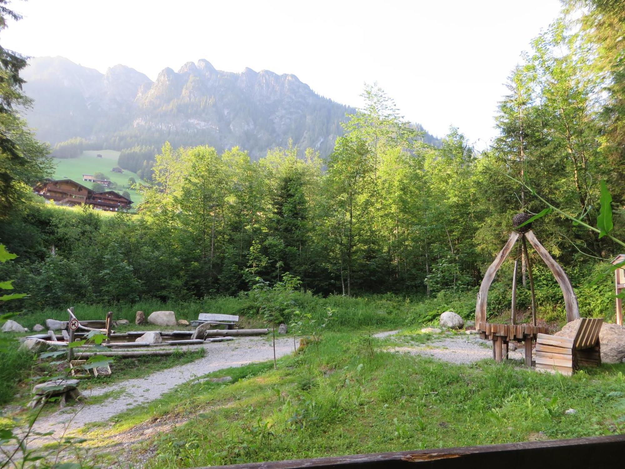 Pension Muehlbachhof Alpbach Buitenkant foto