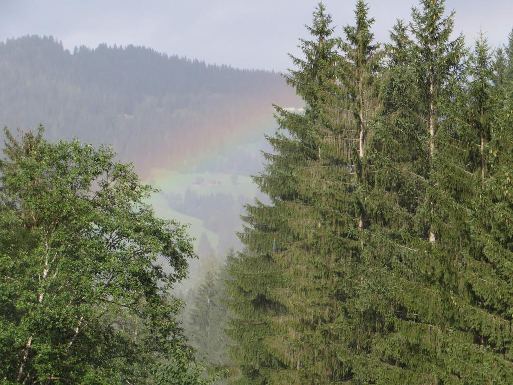 Pension Muehlbachhof Alpbach Buitenkant foto